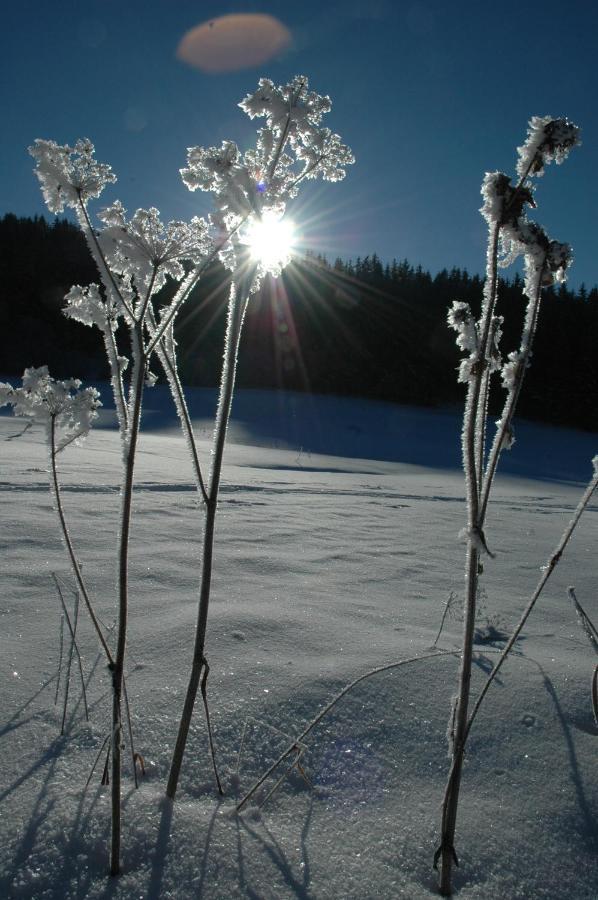 Gasthof Hirschenwirt Schöder Esterno foto
